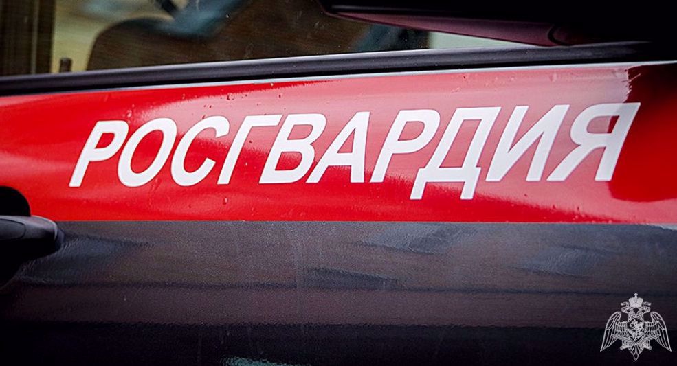 сотрудники росгвардии задержали ярославца, сбывшего поддельную купюру 