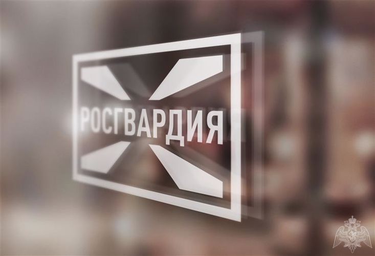 В Ярославле сотрудники Росгвардии передали владелице потерянный телефон