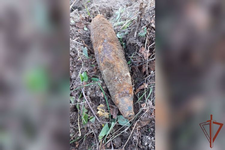 Снаряд времен Великой Отечественной войны обезвредили росгвардейцы в Ярославской области