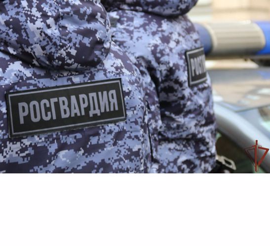 Росгвардейцы за неделю совершили около 400 выездов по сигналам «тревога» в Ярославской области