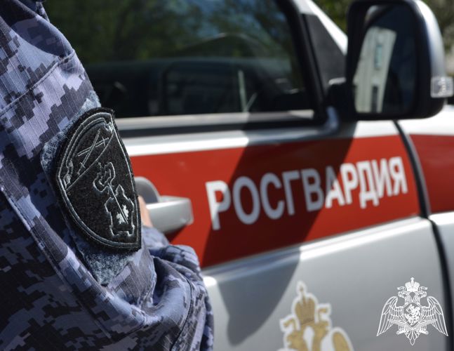 ЯРОСЛАВСКИЕ РОСГВАРДЕЙЦЫ ЗА ПРОШЕДШУЮ НЕДЕЛЮ ВЫЕЗЖАЛИ БОЛЕЕ 350  РАЗ ПО СИГНАЛАМ "ТРЕВОГА"
