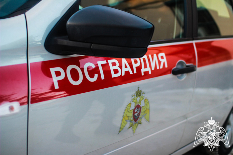 РОСГВАРДЕЙЦЫ ЗА ПРОШЕДШУЮ НЕДЕЛЮ СОВЕРШИЛИ ОКОЛО  400 ВЫЕЗДОВ ПО СИГНАЛАМ С ОХРАНЯЕМЫХ ОБЪЕКТОВ В ЯРОСЛАВСКОЙ ОБЛАСТИ