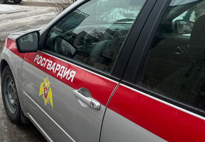 Ярославские росгвардейцы пресекли 20 административных правонарушений за прошедшую неделю