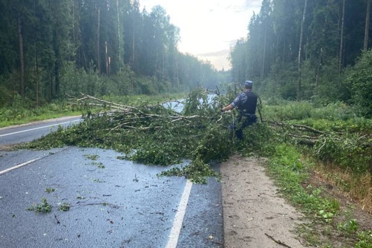 В Ярославской области росгвардейцы помогли автомобилистам
