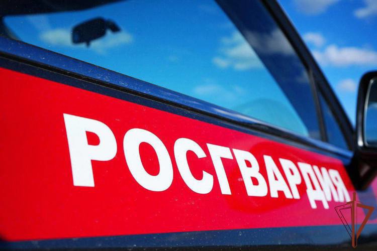 В Ярославле росгвардейцы задержали нетрезвого водителя
