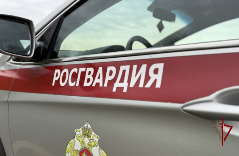 В Ярославской области росгвардейцы разыскали потерявшегося ребенка 