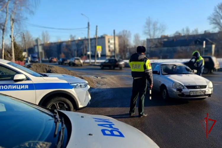 В Ярославле росгвардейцы приняли участие в профилактических мероприятиях