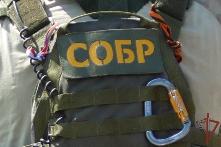 При содействии Росгвардии пресечена деятельность экстремистского сообщества в Ярославской области (видео)