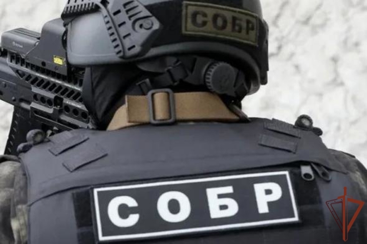 Подозреваемые в совершении мошеннических действий с социальными выплатами задержаны в Ярославской области при содействии Росгвардии