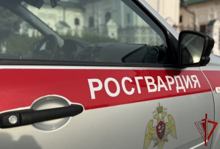 Ярославские росгвардейцы за прошедшую неделю совершили более 300 выездов по сигналам «тревога»